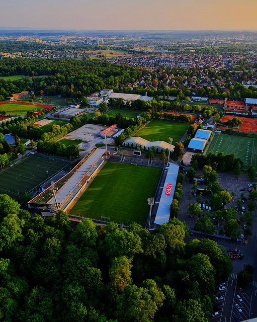 正式亮相国 正式亮相国