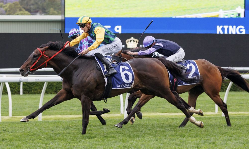 至上的赛场 至上的赛场