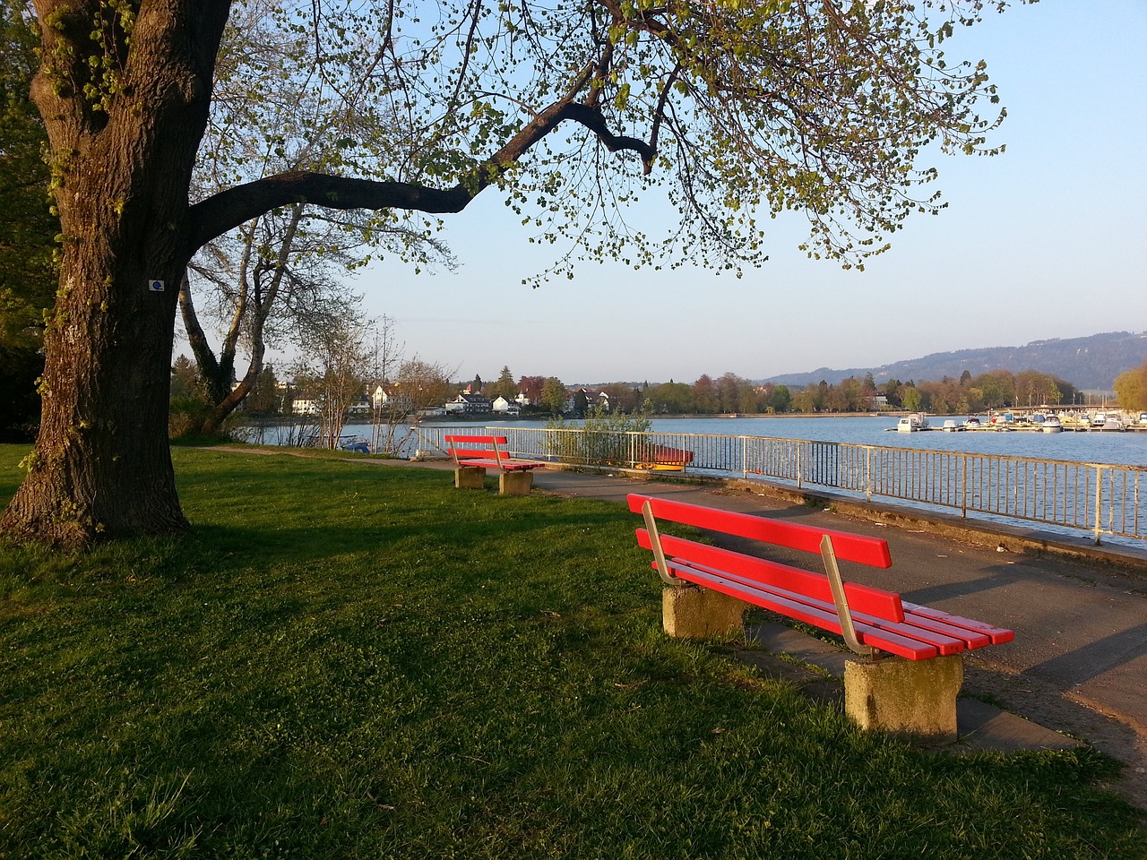 而专业选手 而专业选手